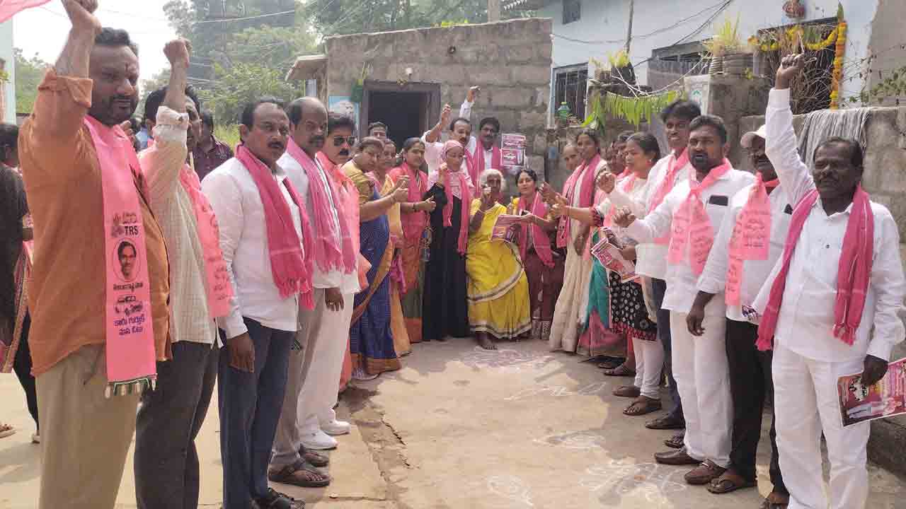 గుబాళిస్తున్న గులాబీల ప్రచారం