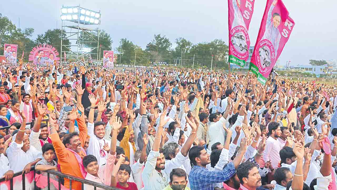 మెదక్..గులాబీ తళుక్కు