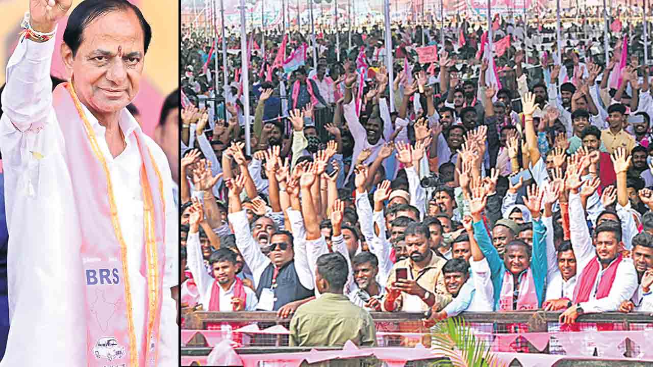 తడాఖా చూపాలె..