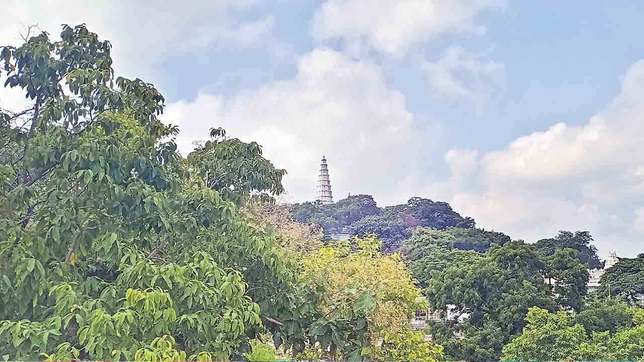 నింబాచలానికి బ్రహ్మోత్సవ శోభ