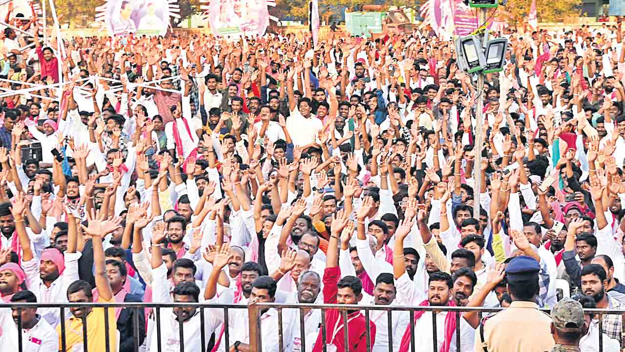 గులాబీ గుబాళింపు!