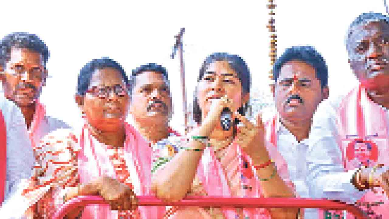 అభివృద్ధిని చూసి ఆదరించండి..