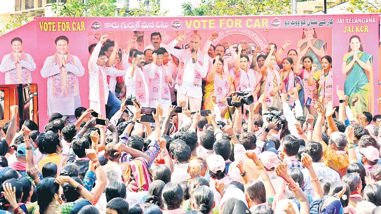 మంత్రి హరీశ్‌రావు రోడ్‌షో సక్సెస్‌