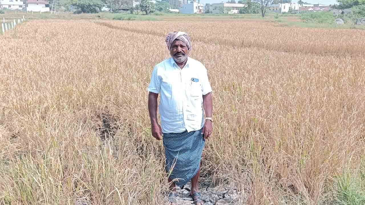 ఆగమాగం ఓటేస్తే రైతు బతుకు ఆగమే