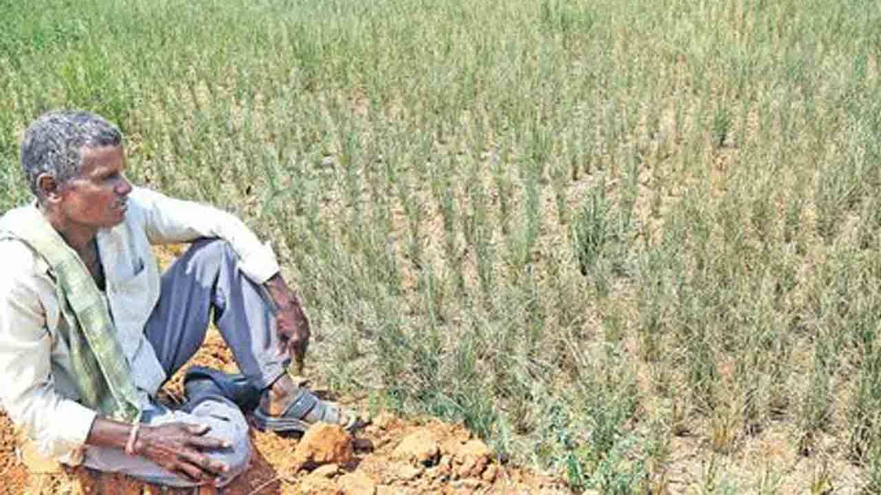 ఆగమాగం ఓటేస్తే రైతు బతుకు ఆగమే!