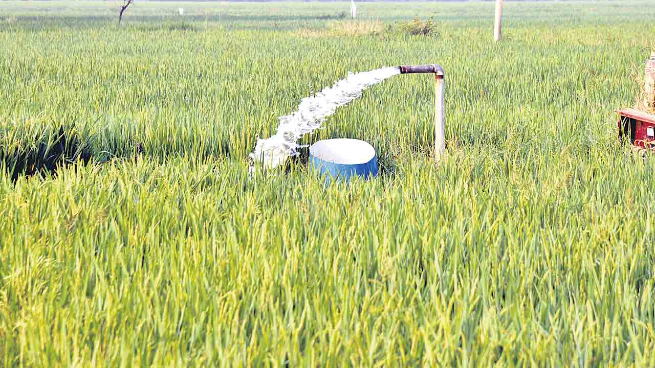 కరెంట్‌కు మొండిచెయ్యి