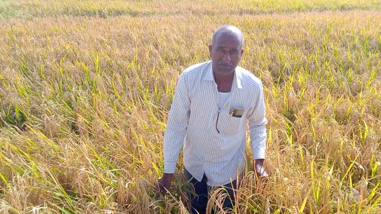 పట్వారీ వ్యవస్థ వద్దు ధరణి ముద్దు