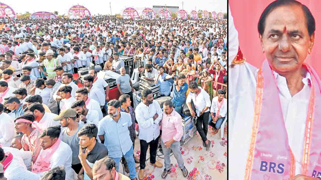 జజ్జనకర జనం జహీరాబాద్‌ గులాబీవనం