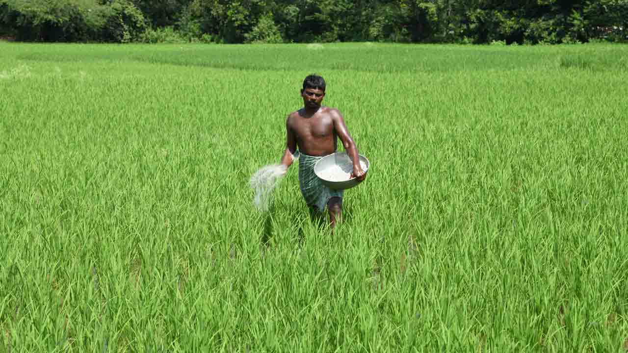 పోర్టల్‌ పోతే పట్వారీలే..