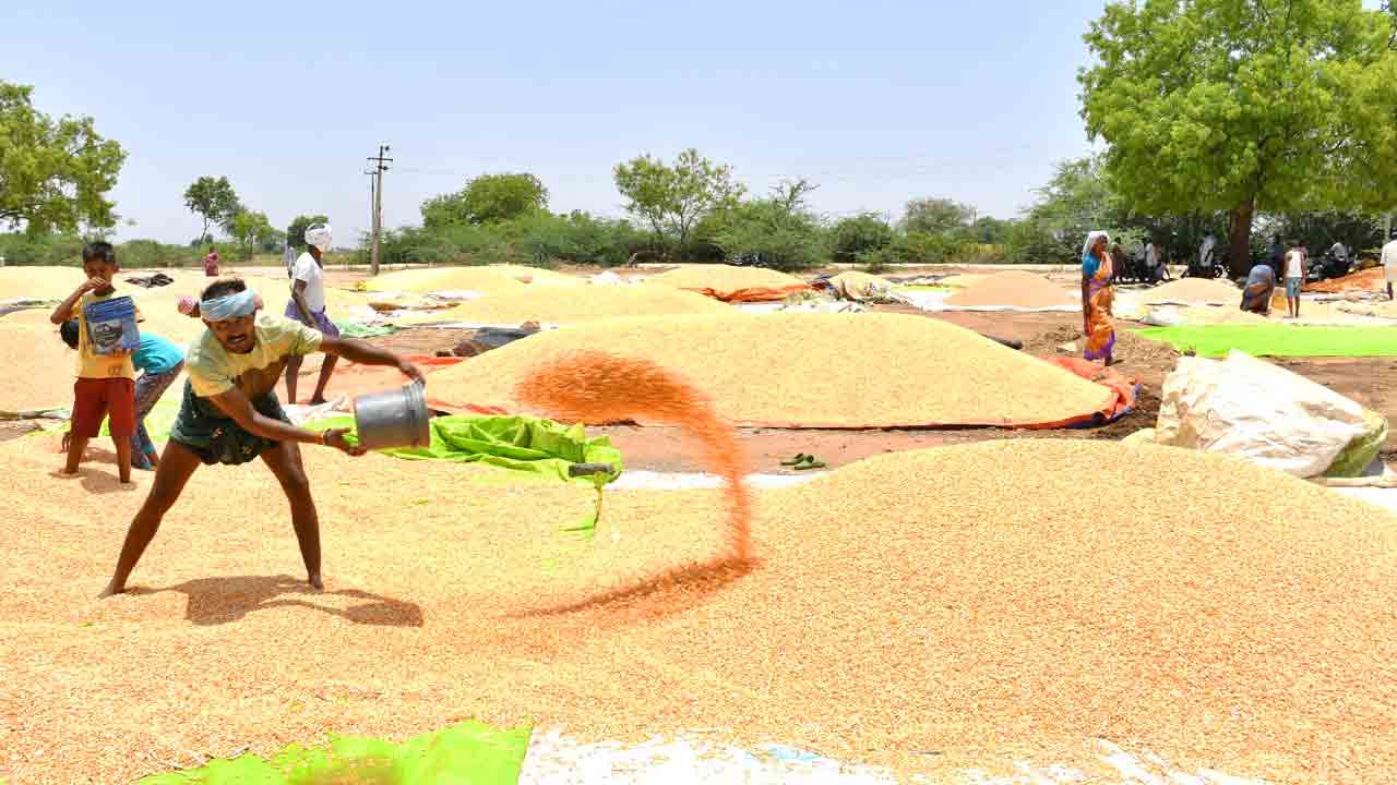 పహాణీలొస్తే పరేషాననే..