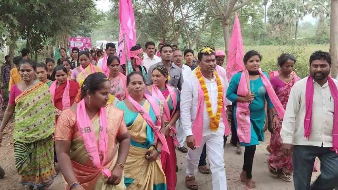 గులాబీ దూకుడు