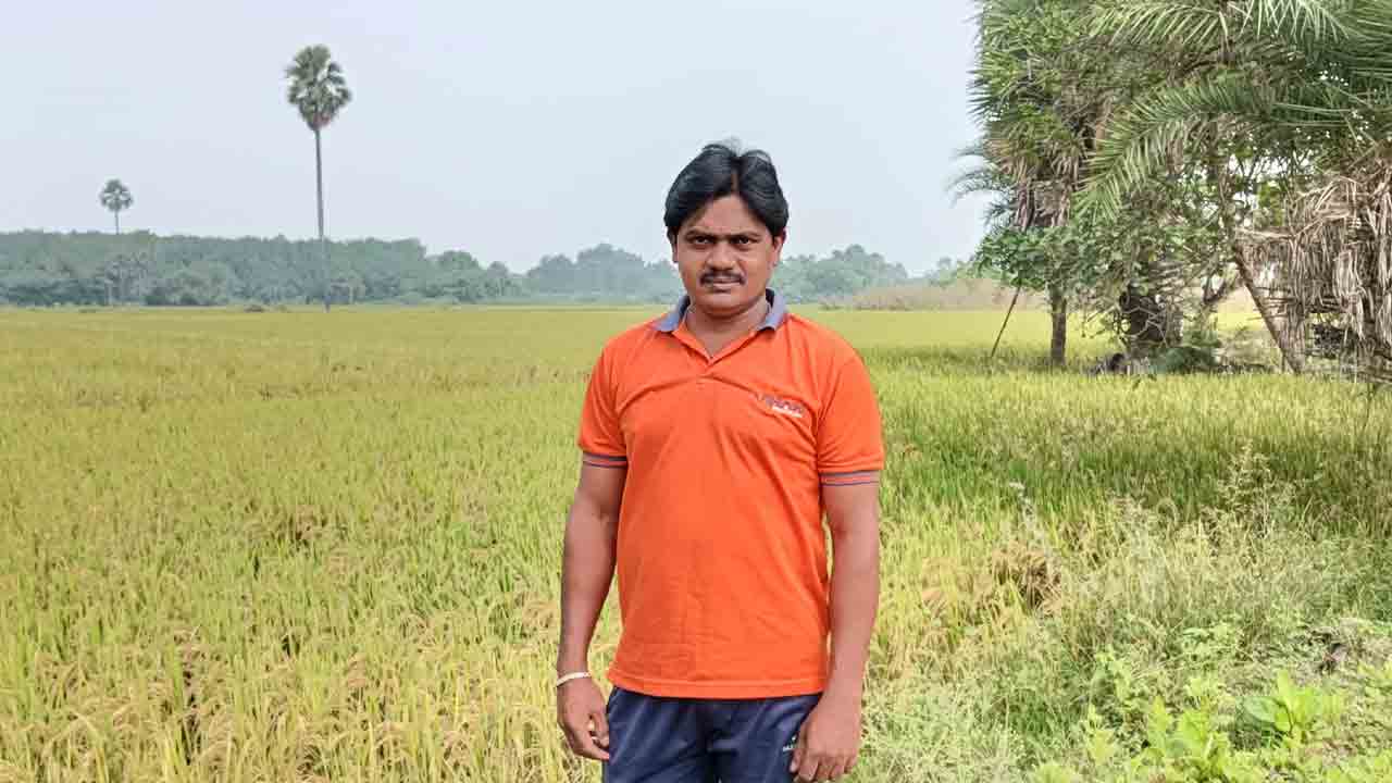 వాళ్లొస్తే హస్త వ్యస్తమే..