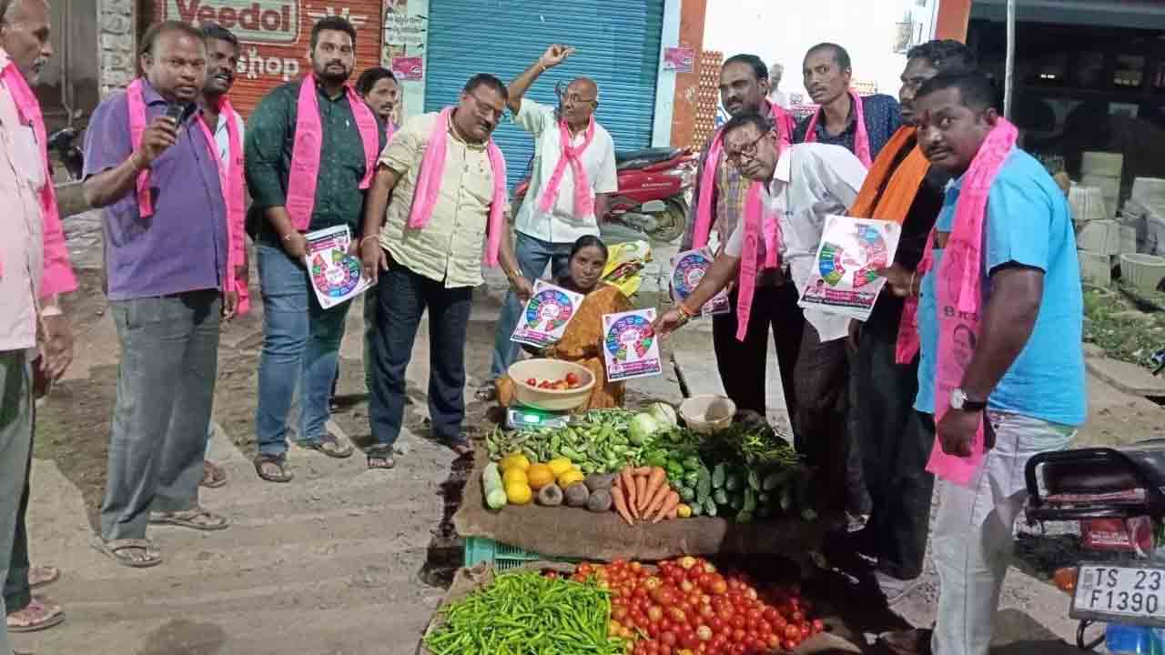 ఎమ్మెల్యే పెద్దికే ప్రజల మద్దతు