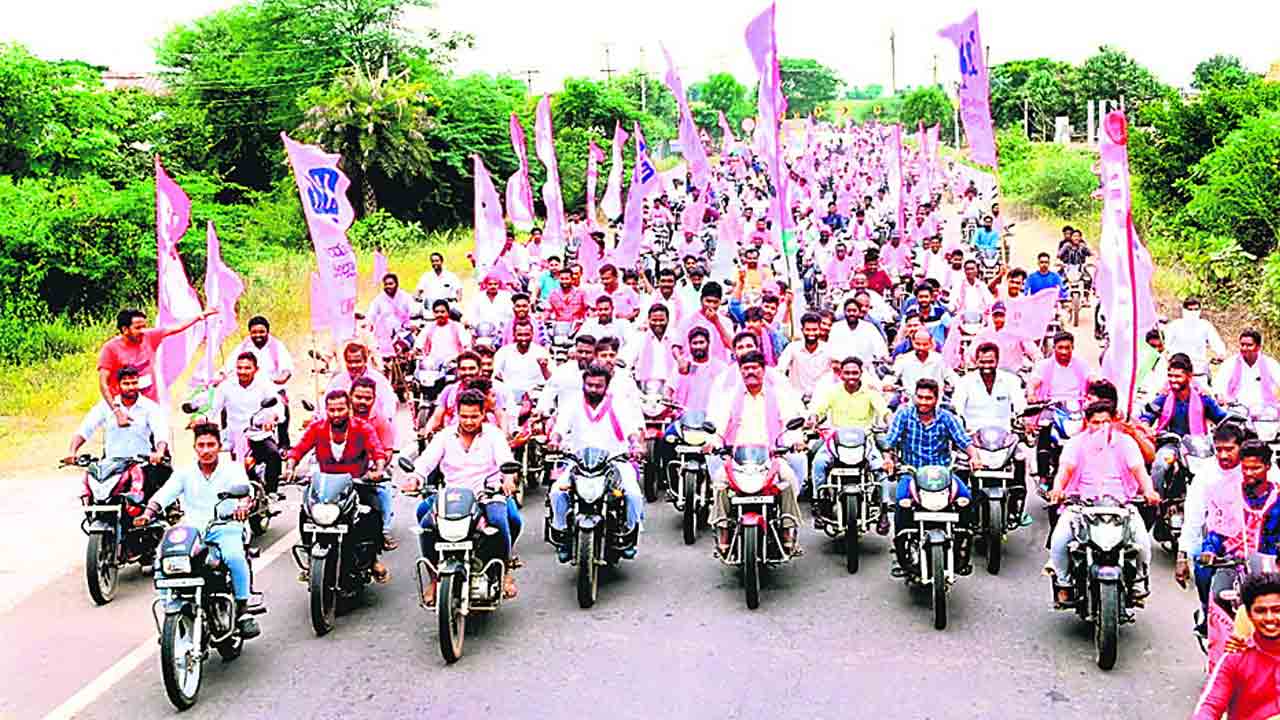 గులాబీ జోష్‌..