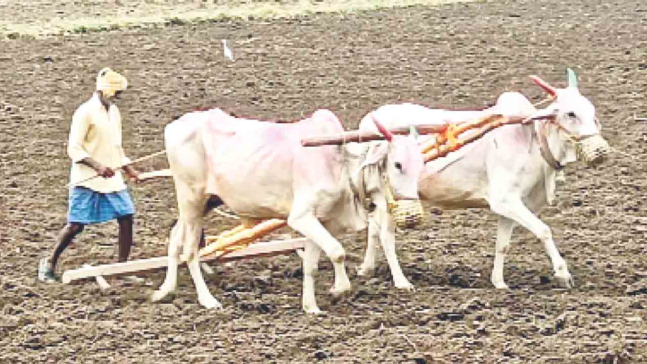 పరిహారం కుటుంబానికి అభయం