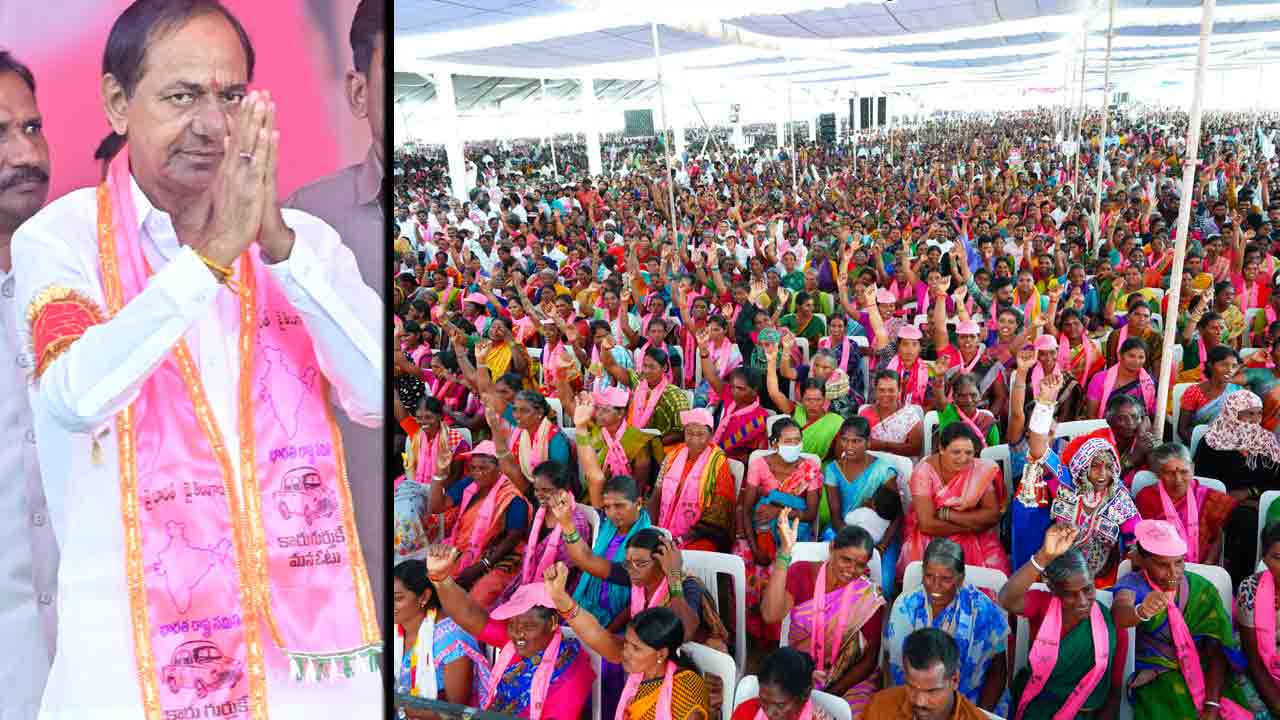 గులాబీ ప్రభంజనం