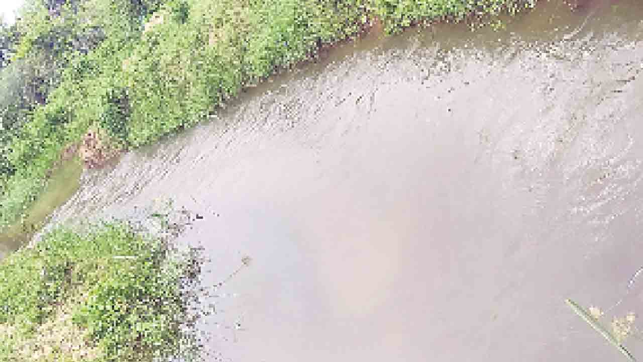 బీడుభూములకు జీవం