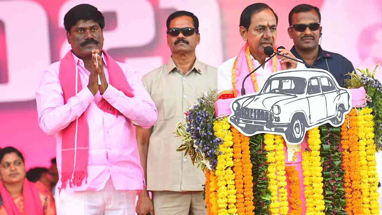 న‌ర్సంపేట‌.. గులాబీ తోట‌..