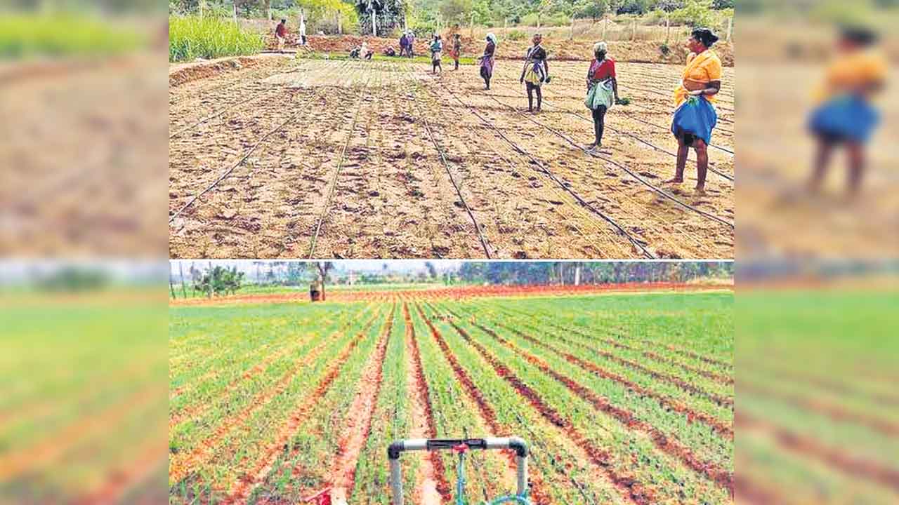 అభివృద్ధి పరుగులు ఆగొద్దు