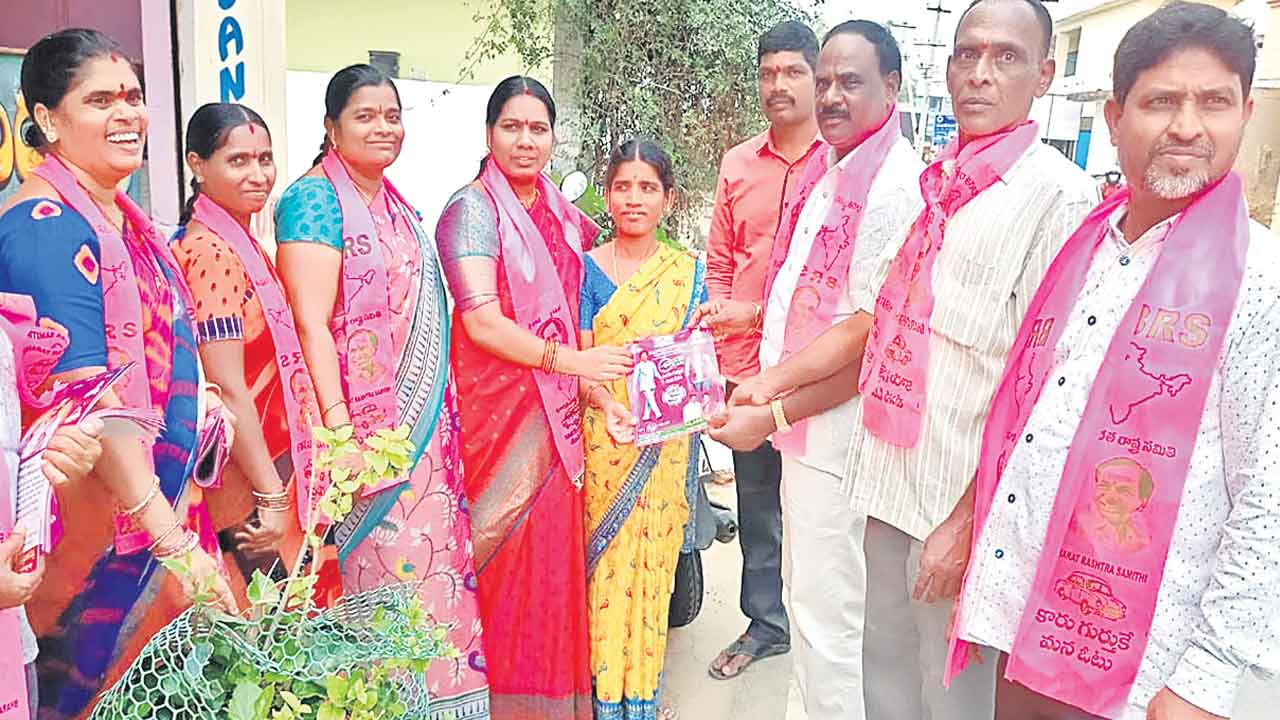 దుబ్బాకలో కారు..జోరు