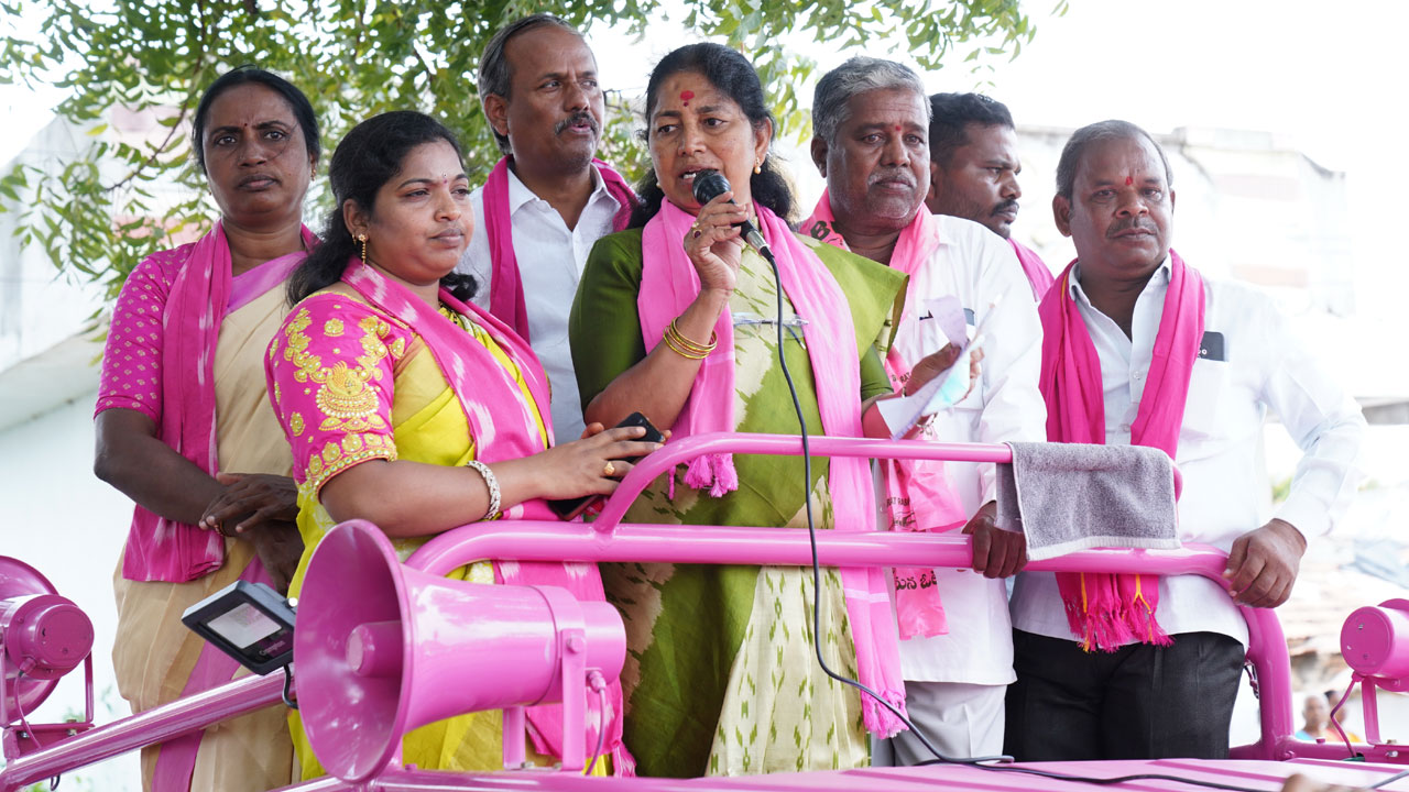 అభివృద్ధిని చూసి ఆదరించండి