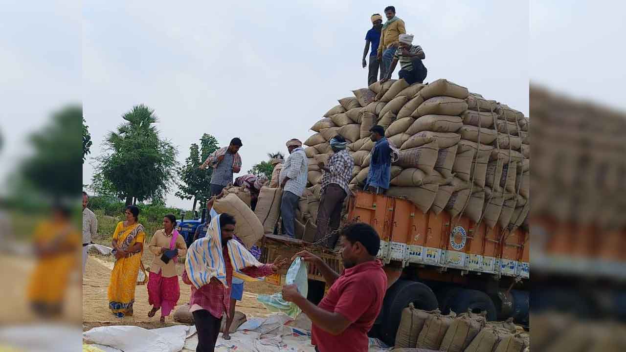 మద్దతు ధరతో కొంటున్న సర్కార్‌