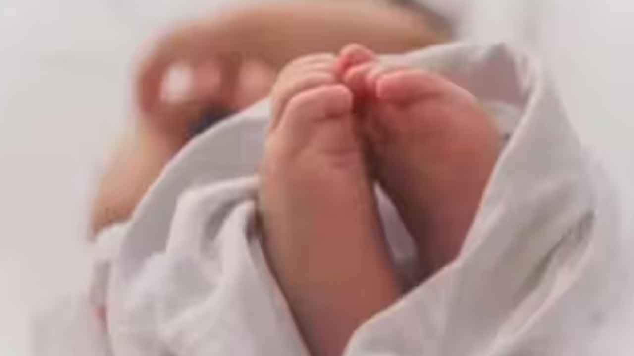 Viral News | పండంటి మగబిడ్డకు జన్మనిచ్చిన లెస్బియన్‌ జంట.. ఎలా సాధ్యమైందంటే..