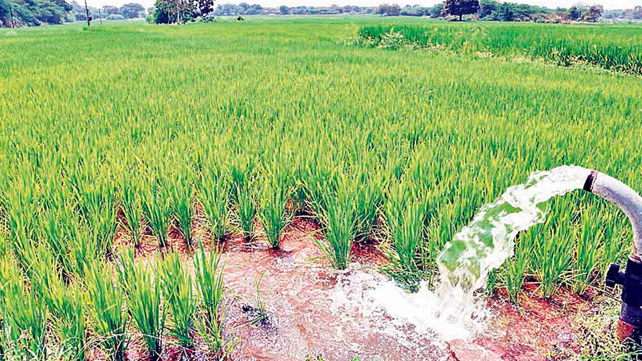 కాంగ్రెస్‌ హయాంలో కన్నీటి సేద్యం