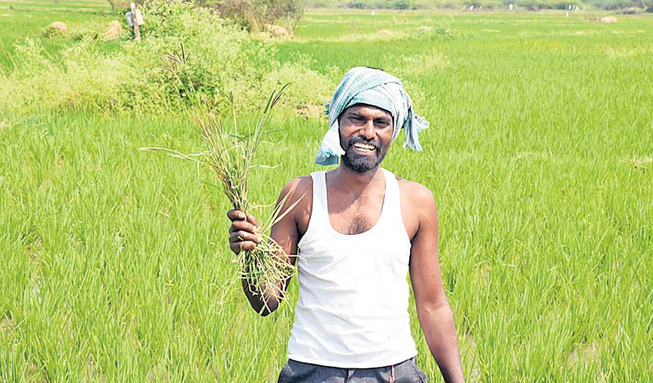 కాంగ్రెస్‌వి బూటకపు హమీలు