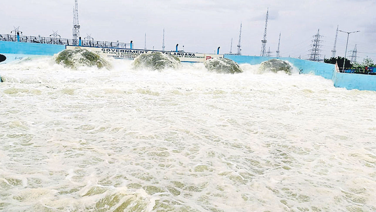 నాడు కరువునేల నేడు కోనసీమ