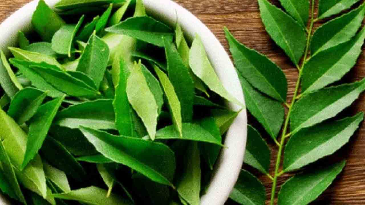 Curry Leaves | కరివేపాకుతో ఆరోగ్యానికి లభించే బెనిఫిట్లు ఇవీ..!