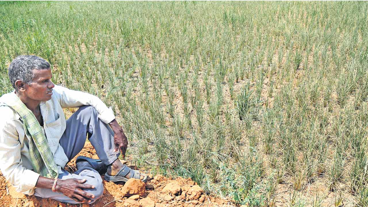 Congress | రైతు బతుకు ఆగమే.. కాంగ్రెస్‌ పార్టీకి ఓటేస్తే మూడు గంటలే కరెంటు