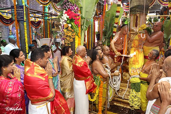 TTD  | పద్మావతి అమ్మవారి బ్రహ్మోత్సవాలు ధ్వజారోహణంతో ప్రారంభం