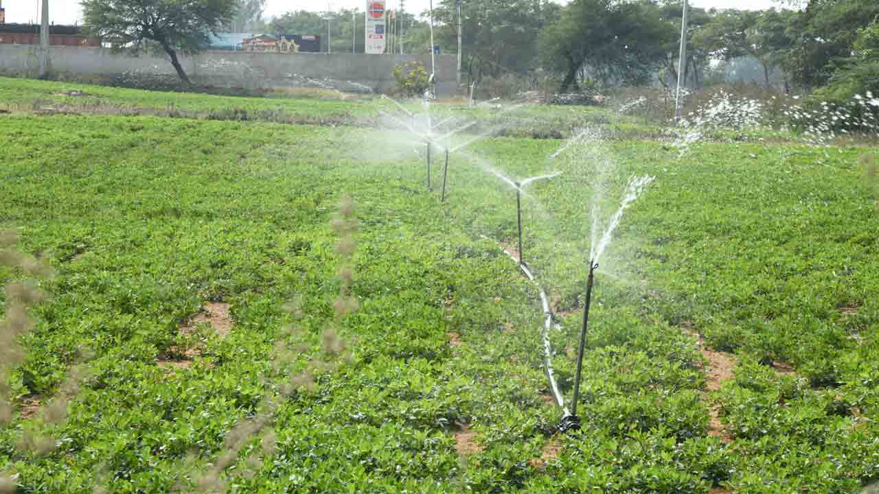 భూములు ఆగమైతయ్‌