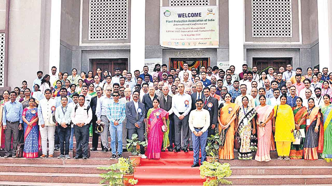 మొక్కల ఎదుగుదల మన బాధ్యత