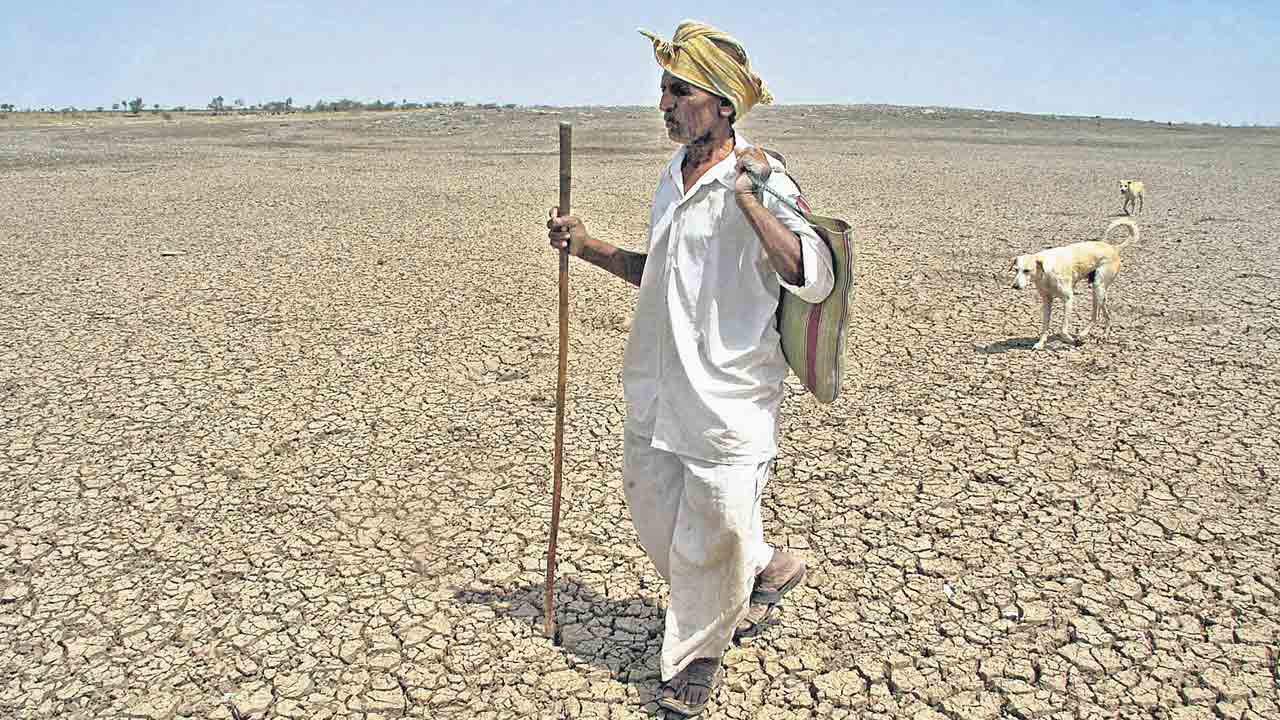 ఎద్దు ఏడ్చిన ఎవుసం