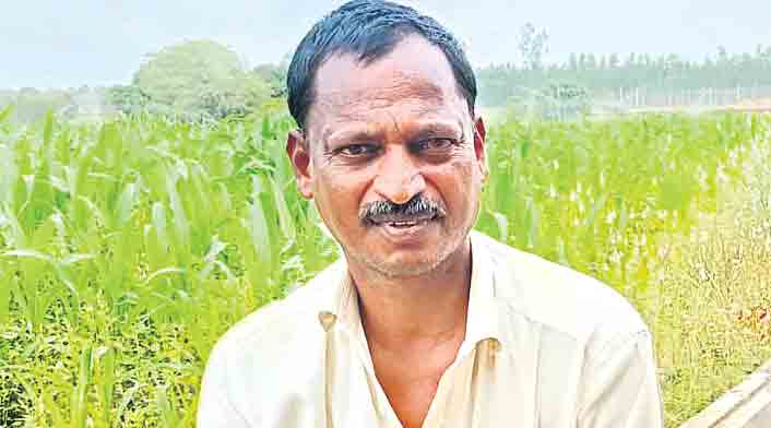 Farmer5