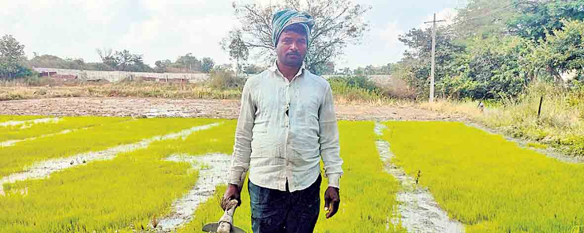 Farmer7
