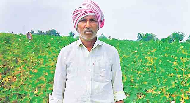 Farmer8