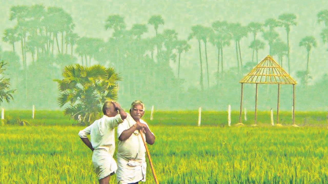 దళారులదే రాజ్యం..