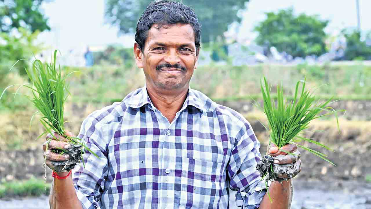 Rythu Bandhu | రైతుబంధుకు తొలగిన అడ్డంకులు.. 28 నుంచి రైతుల ఖాతాలో పెట్టుబడిసాయం