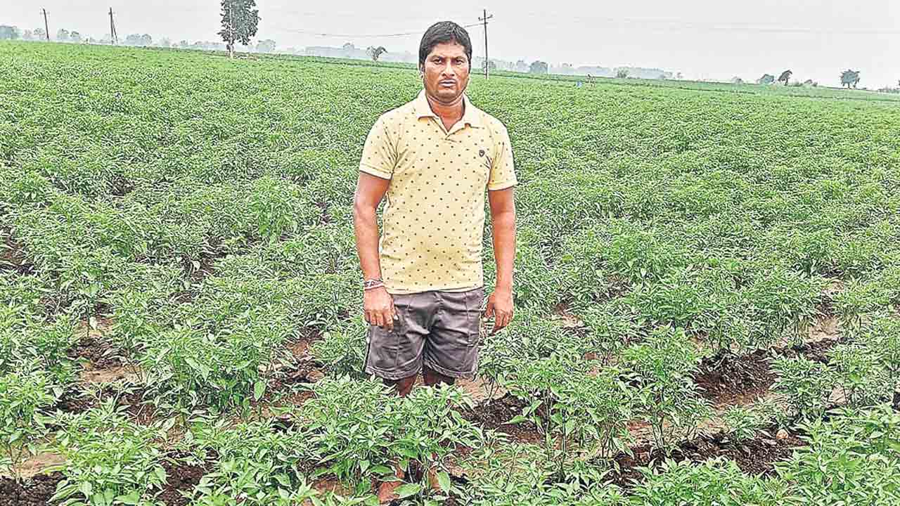 కాంగ్రెసొస్తే పటేల్‌ పట్వారీ రాజ్యమే