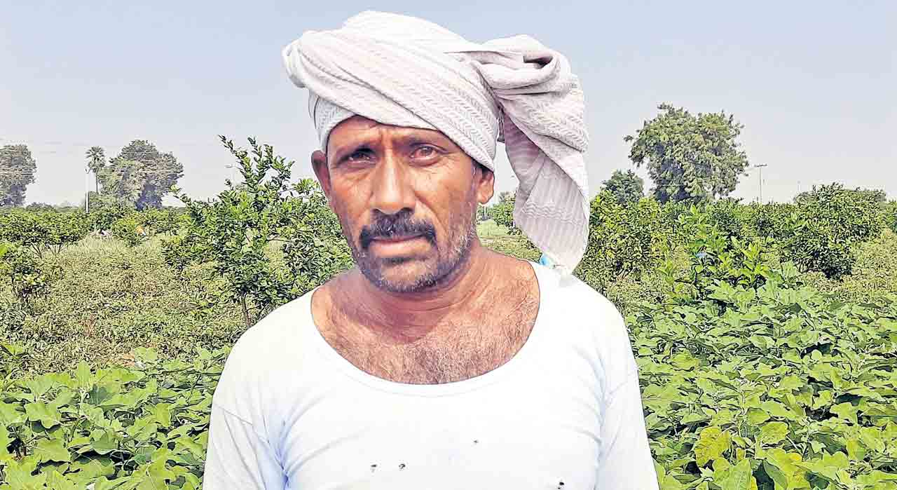 Farmers1