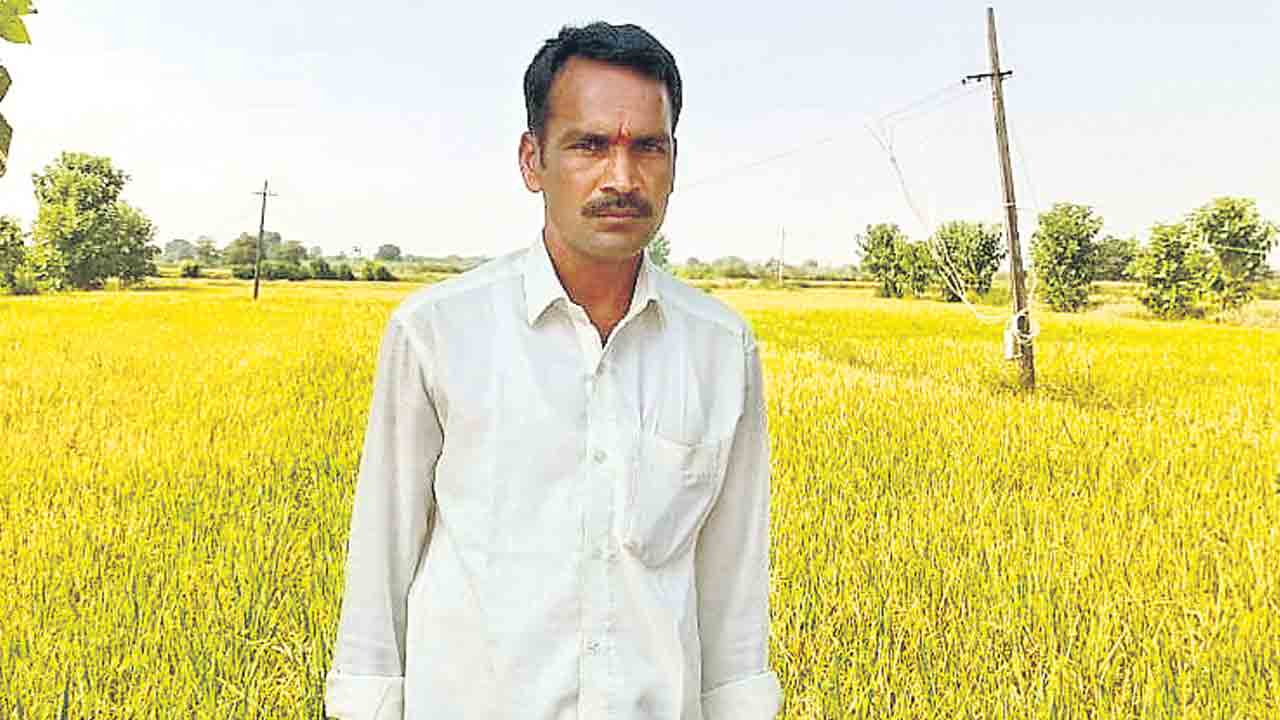 Farmers10