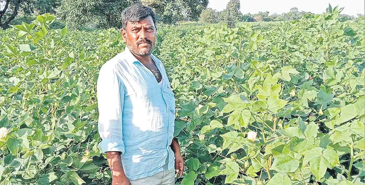 Farmers4