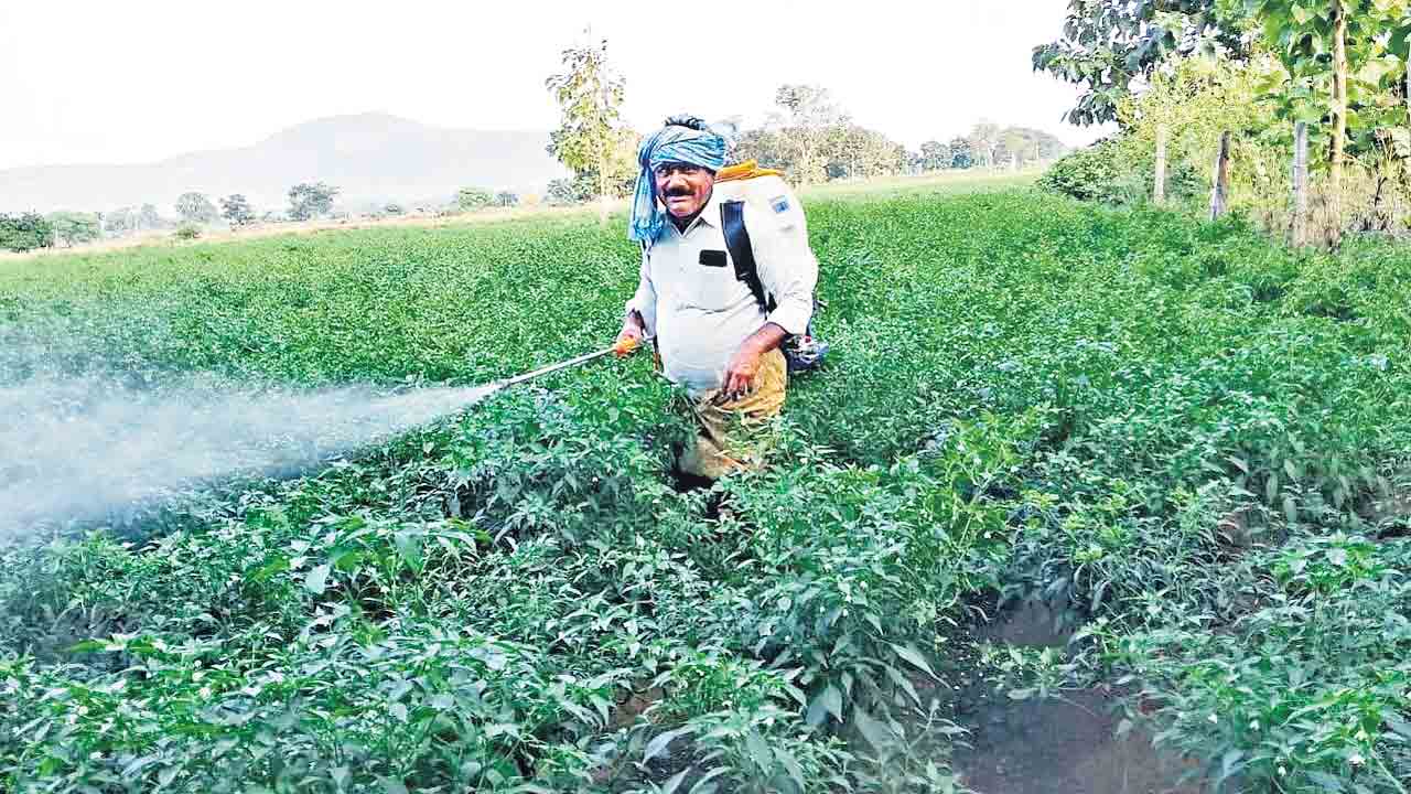 CM KCR | కాంగ్రెస్‌ వస్తే అంగడంగడే..! సీఎం కేసీఆర్‌ సర్కారుతోనే ఉంటామంటున్న రైతులు..!