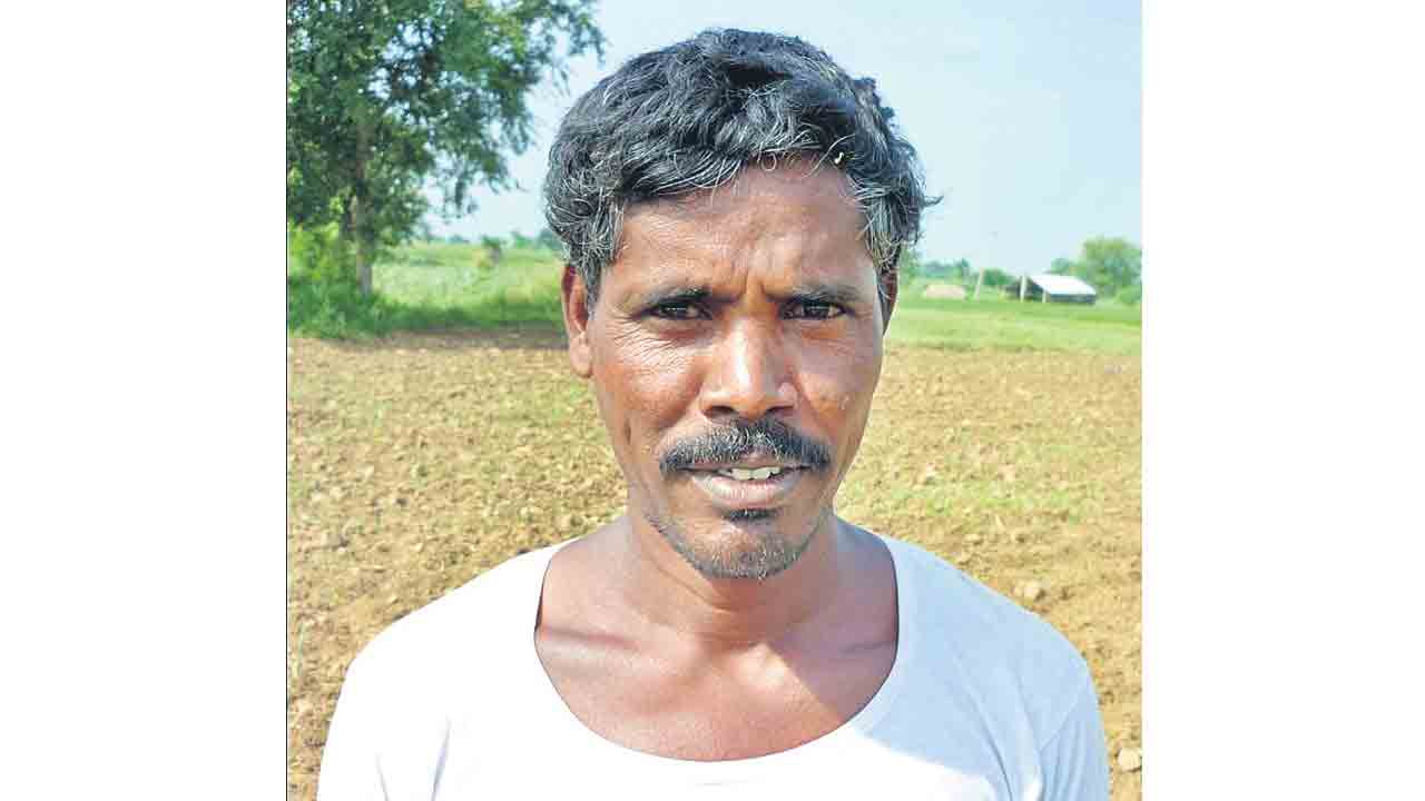 Farmers6