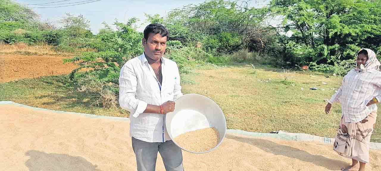 Farmers6