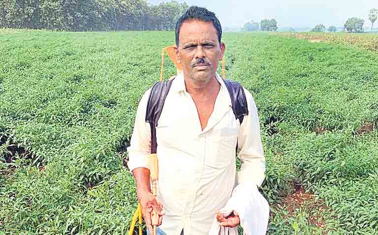 Farmers6