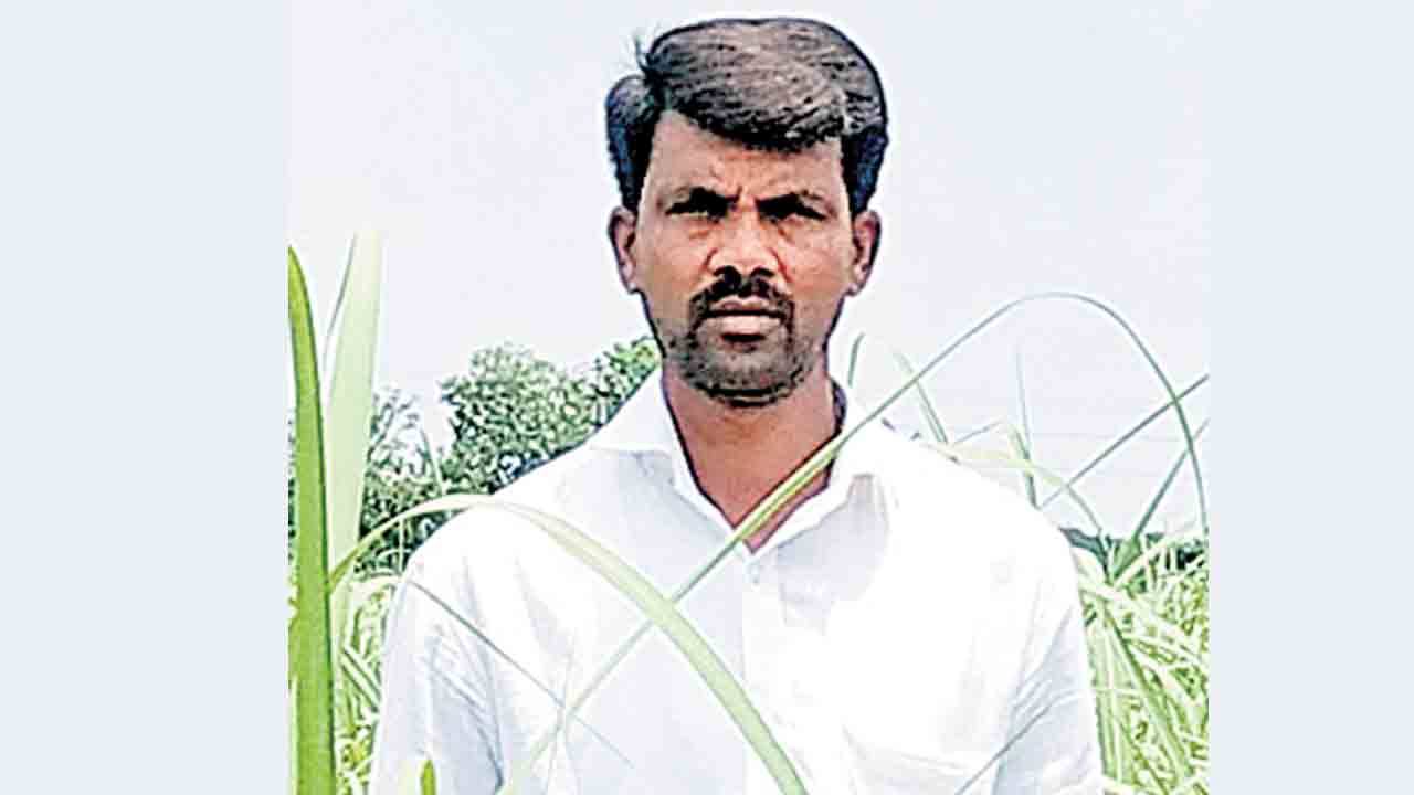 Farmers9